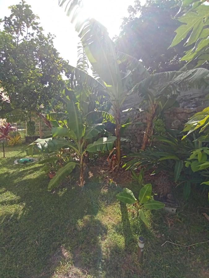 Apartamento Le Goyavier Saint-Pierre Exterior foto